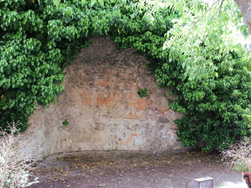 ruderi