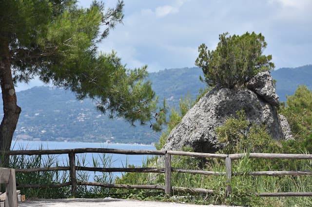 Apprezzami l'asino2