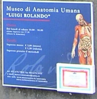 Museo di anatomia umana Luigi Rolando