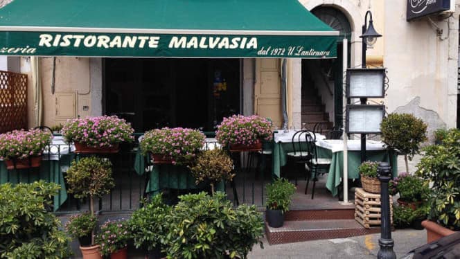 Malvasia
