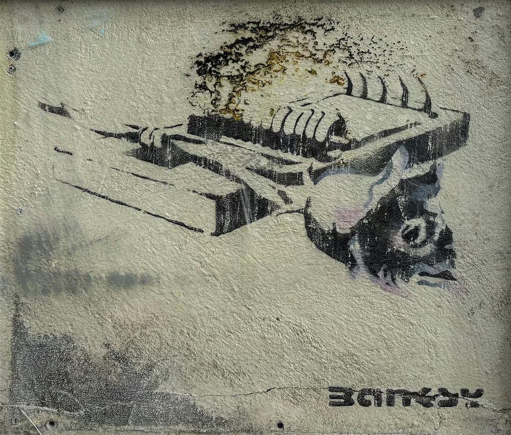 Palazzo Fava: Banksy Archive 01 - The School of Bristol 1983-2005 Mostra
