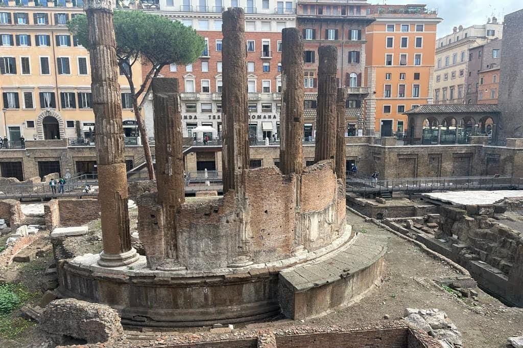 Area archeologica Largo Argentina: Biglietto salta-coda