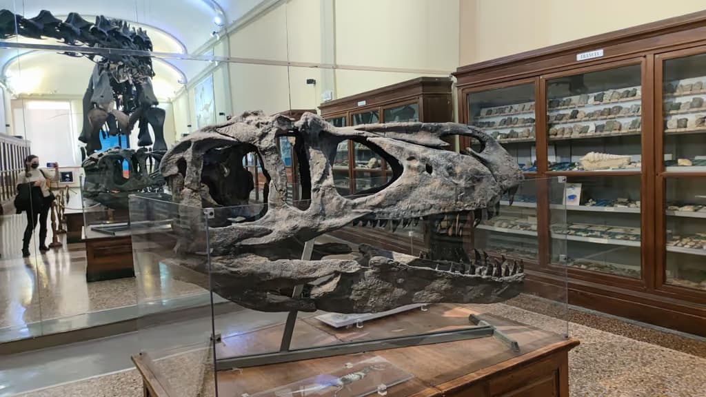 Collezione di Geologia "Museo Giovanni Capellini"