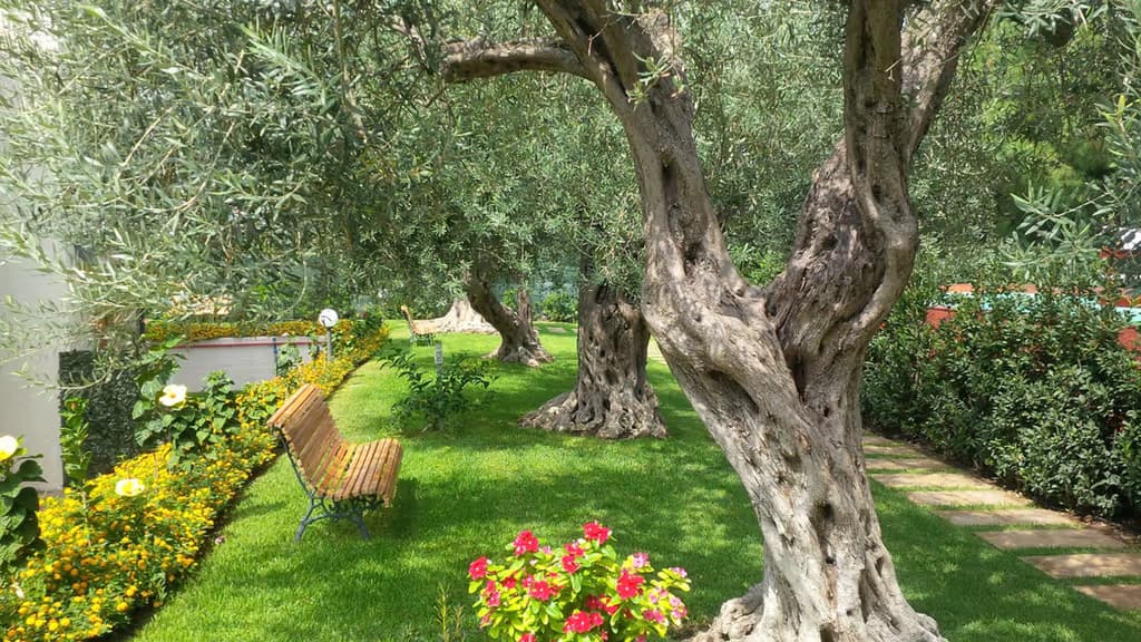 Residence Villa Collina