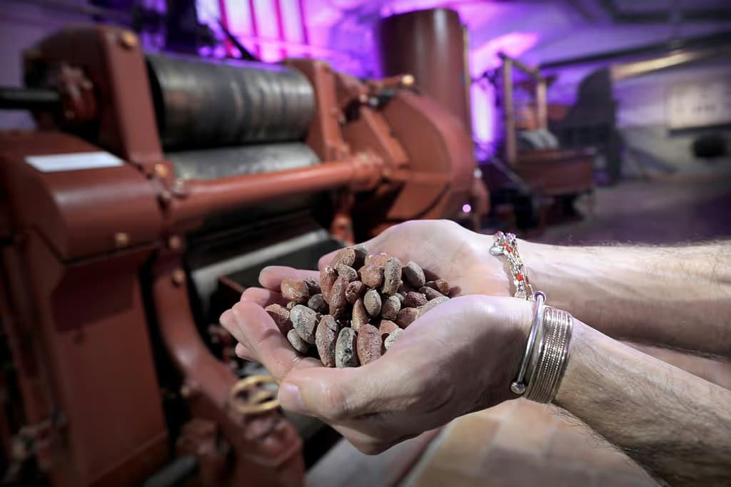 Torino: Tour Choco-Story + Audioguida + Degustazione di cioccolato