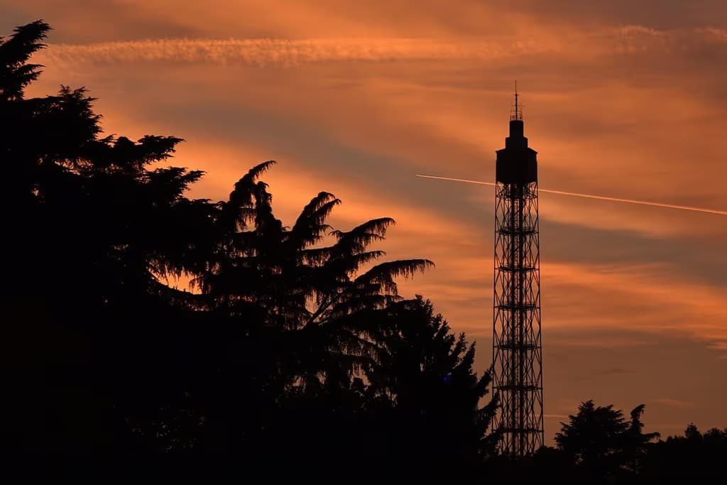 Torre Branca: Biglietto d'ingresso