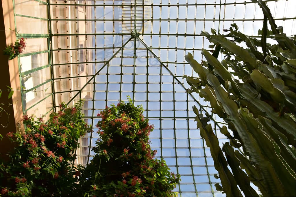Orto Botanico di Roma
