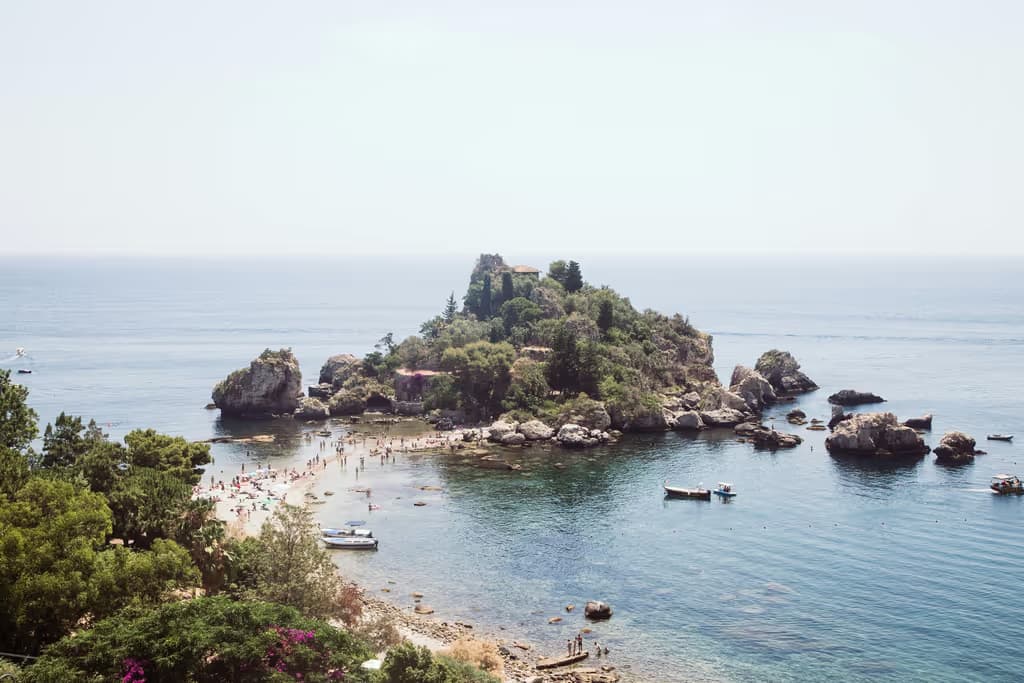 Museo Naturalistico Regionale di Isolabella: Biglietto d'ingresso