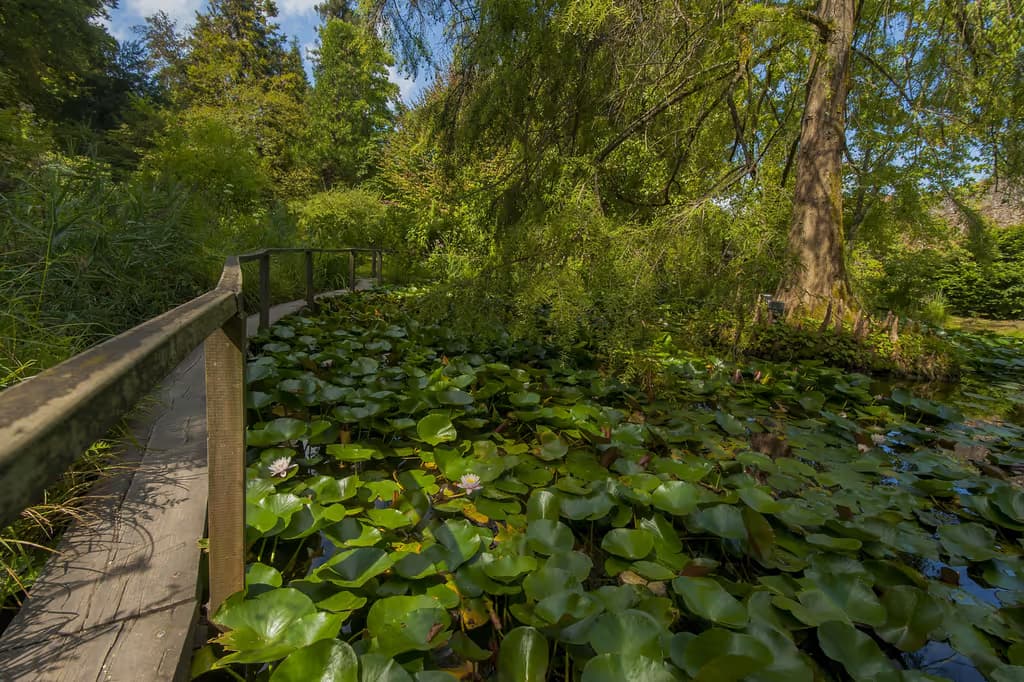 Orto Botanico di Torino - Università degli Studi di Torino