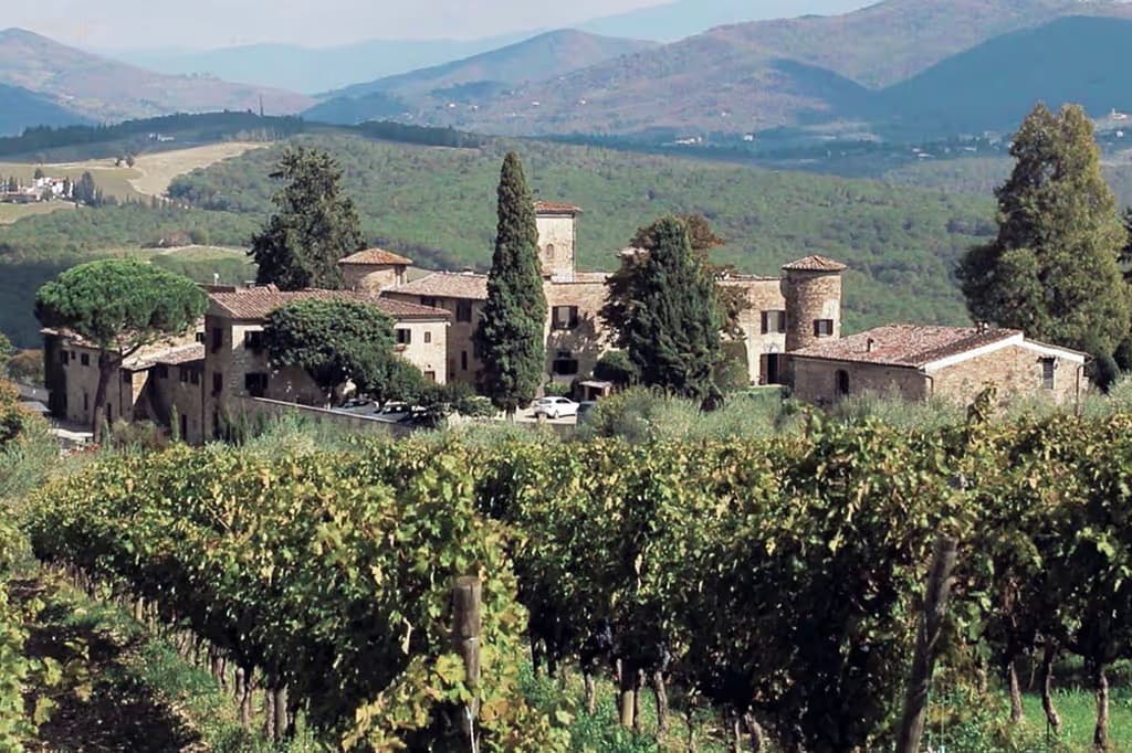 Chianti: Degustazione di vino e olio con tour guidato + Trasporto da Firenze