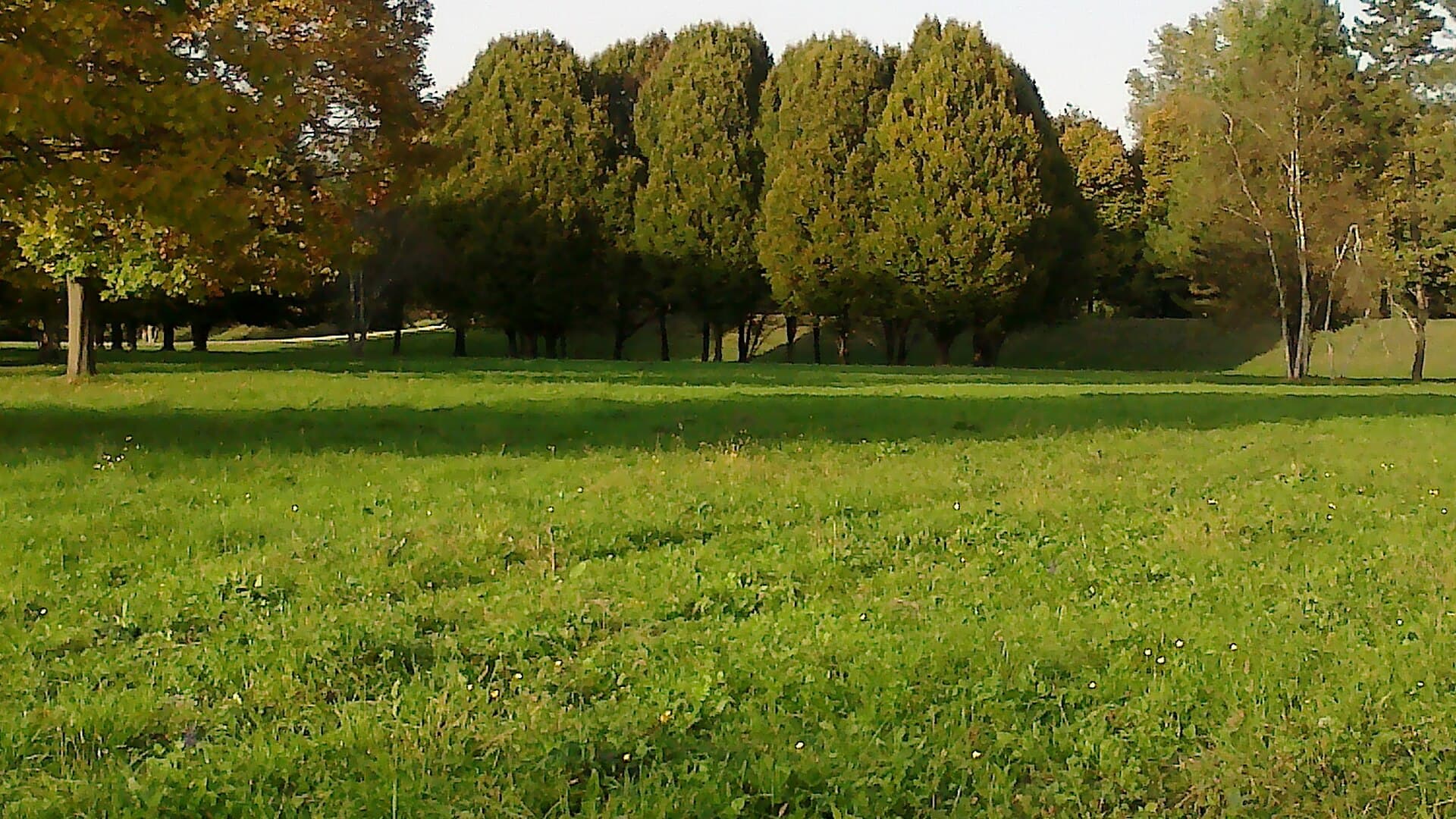 Parco Colletta