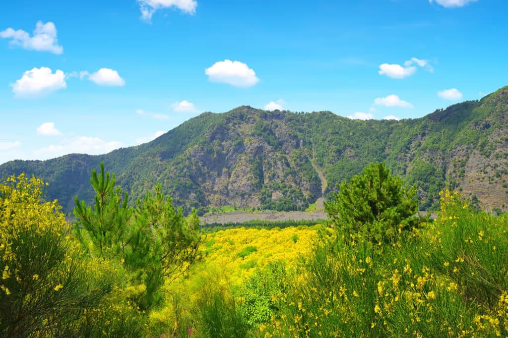 Vesuvio e Pompei: Biglietti Skip The Line + Viaggio di andata e ritorno da Salerno