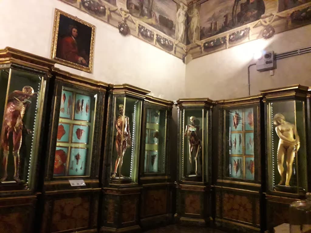 Museo di Palazzo Poggi