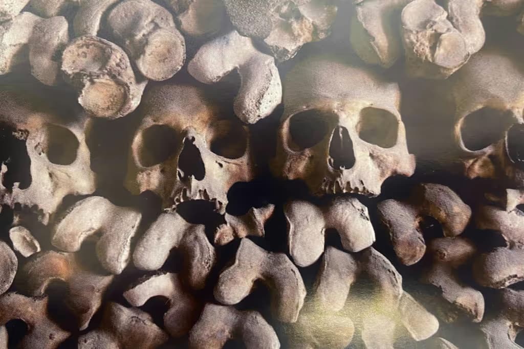 Cripta della Chiesa di Santa Maria della Concezione dei Cappuccini: Biglietto salta-coda + Audioguida