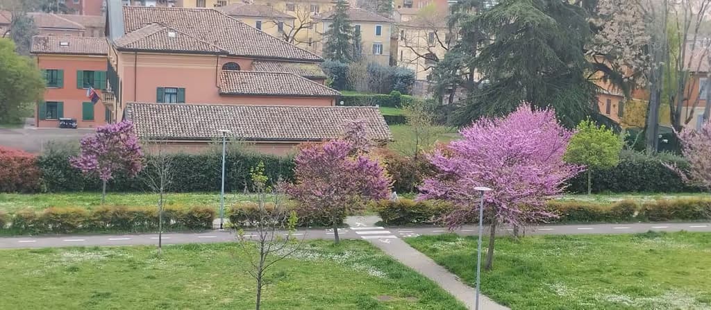 Casa Vacanze Santa Viola di L.S.