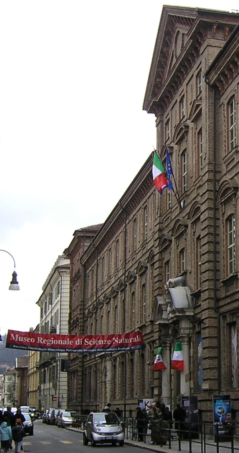 Museo regionale di scienze naturali