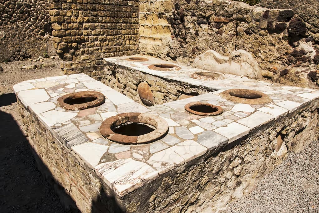 Pompei e Vesuvio: Biglietto salta-coda + trasporto andata e ritorno dal porto di Napoli