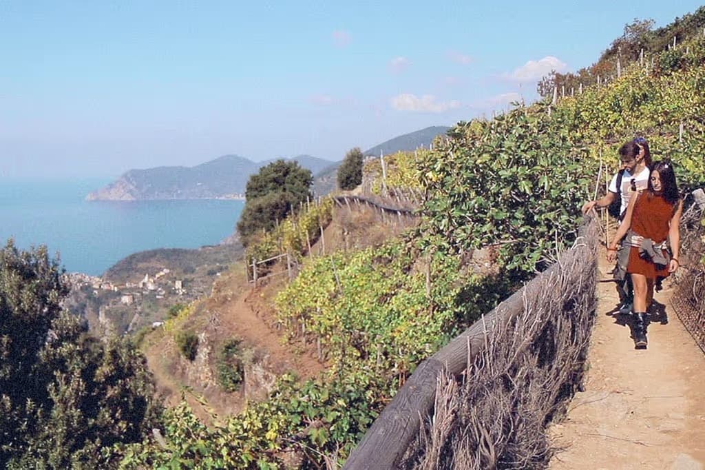 Cinque Terre: tour guidato semi-privato da Firenze